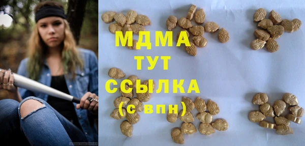 ПСИЛОЦИБИНОВЫЕ ГРИБЫ Липки