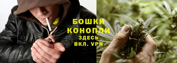 индика Лихославль