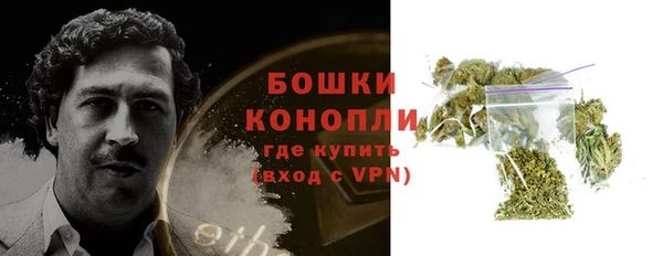 ПСИЛОЦИБИНОВЫЕ ГРИБЫ Липки