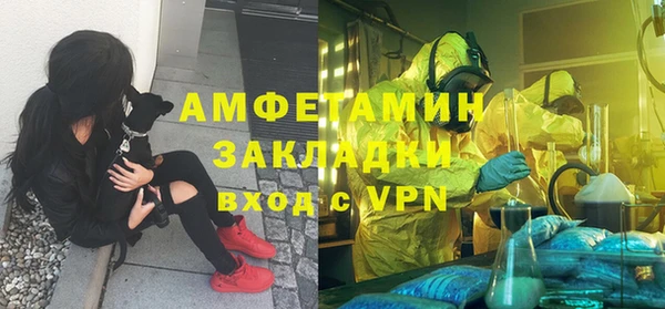 ГАЛЛЮЦИНОГЕННЫЕ ГРИБЫ Лиски