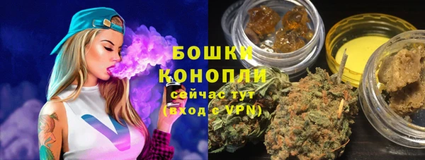 ПСИЛОЦИБИНОВЫЕ ГРИБЫ Липки