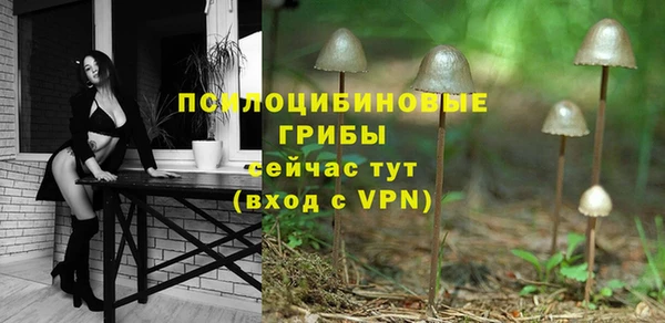 индика Лихославль