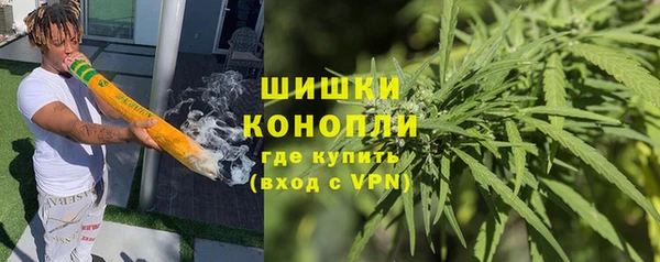 ПСИЛОЦИБИНОВЫЕ ГРИБЫ Липки
