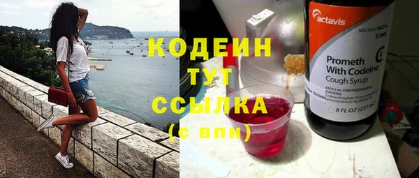 индика Лихославль