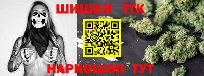 мдпв Камышлов