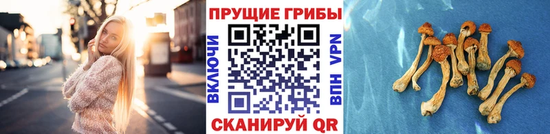 кракен сайт Ханты-Мансийск маркетплейс состав Галлюциногенные грибы прущие грибы